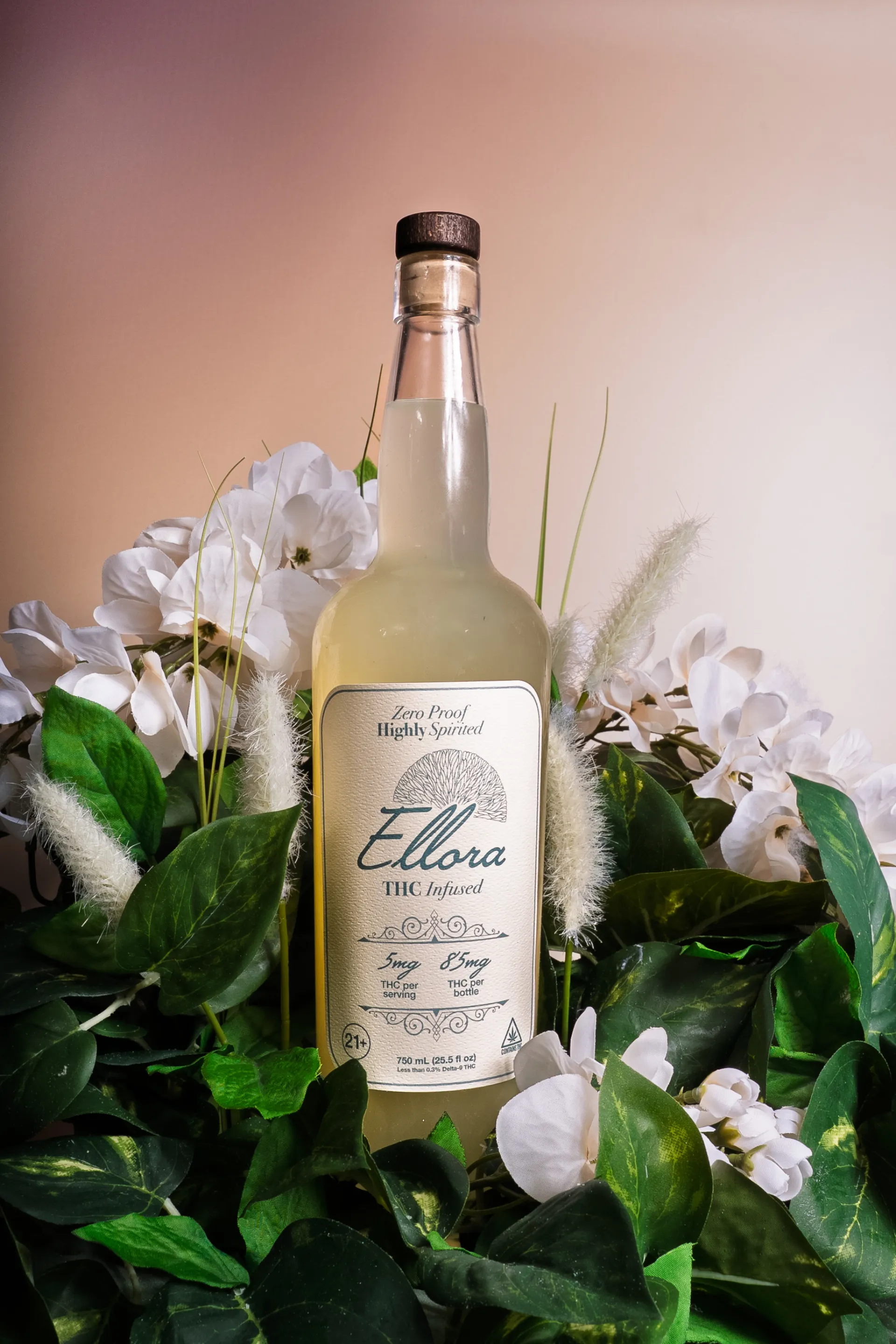 Crescent Canna — 2