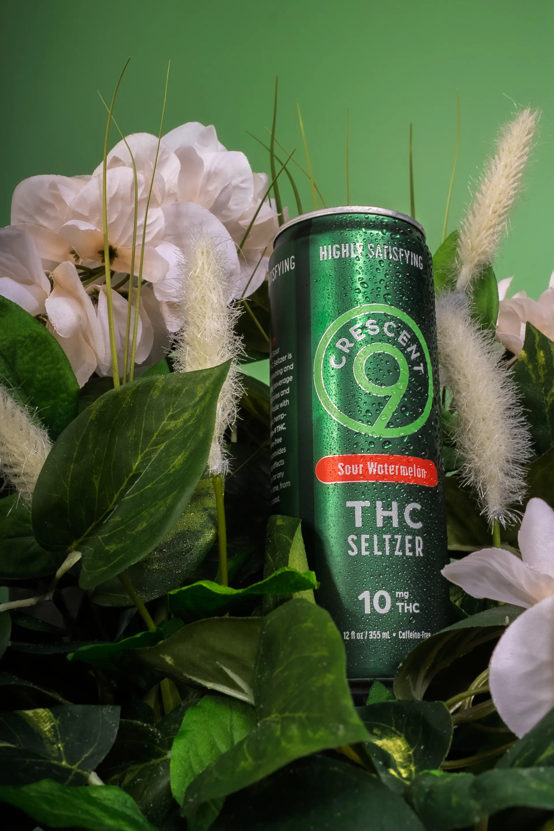 Crescent Canna — 8